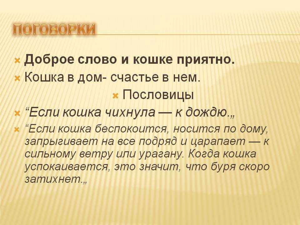 Пословицы и поговорки о животных для детей