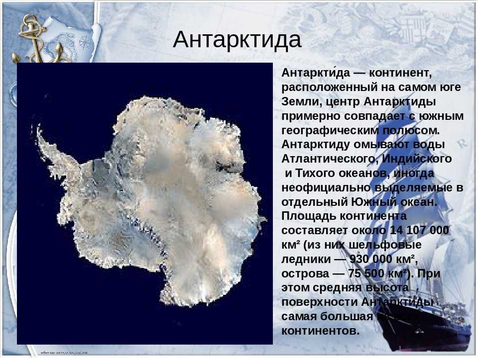 Текст про антарктиду. Антарктида Континент расположенный на самом юге земли. Антарктида материк сведения. Сообщение о Антарктиде. Антарктида описание.