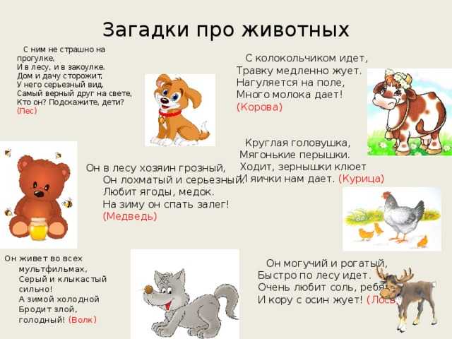 Загадки, придуманные детьми 1, 2, 3, 4 классов