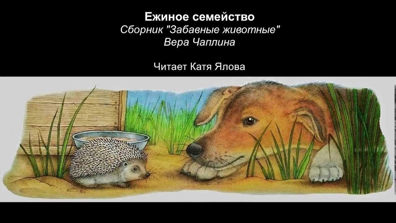 Рассказы о лете для начальной школы