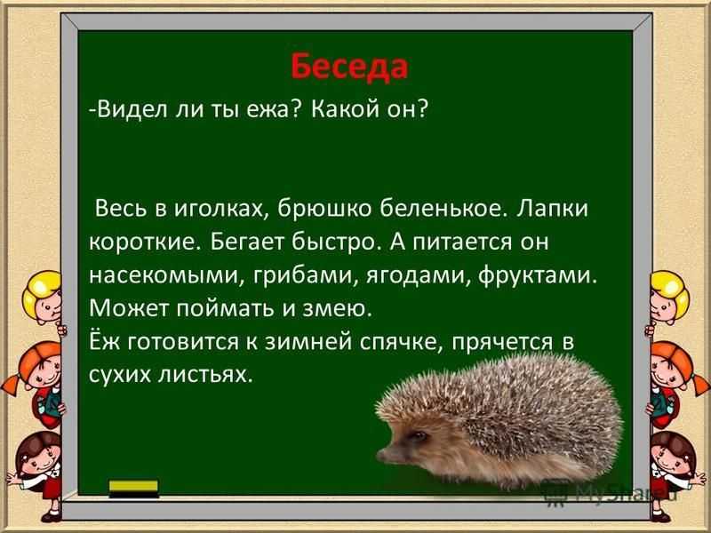 Сказки про ёжика (для внучат) / автор натали ~ проза (сказка)