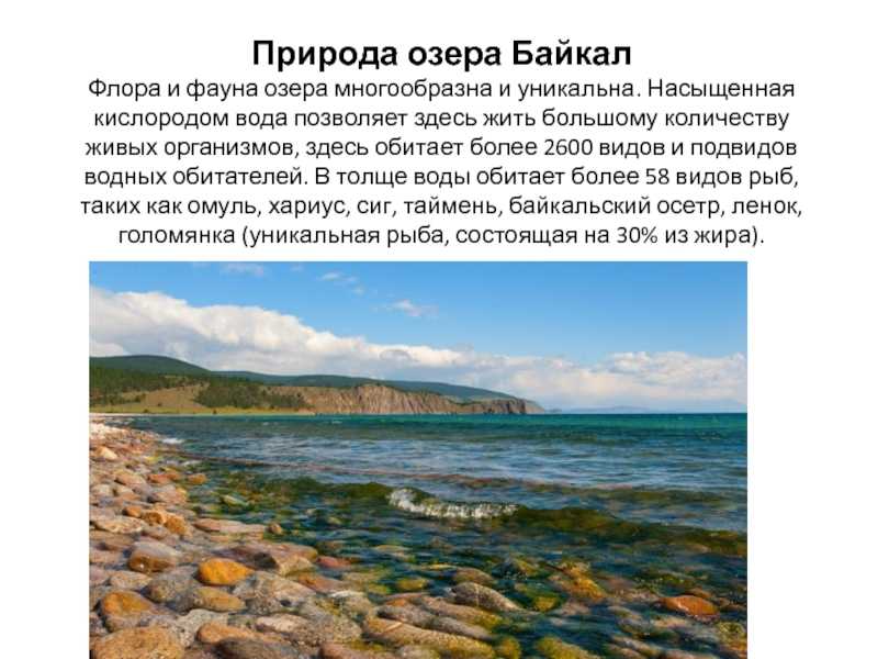 Интересные факты о морях и океанах