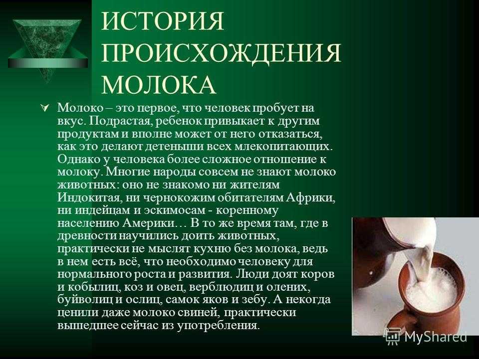 Когда люди начали пить коровье молоко? - hi-news.ru
