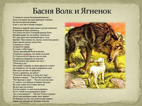 Волк и ягненок - басня крылова: читать текст "у сильного всегда бессильный виноват" - рустих
