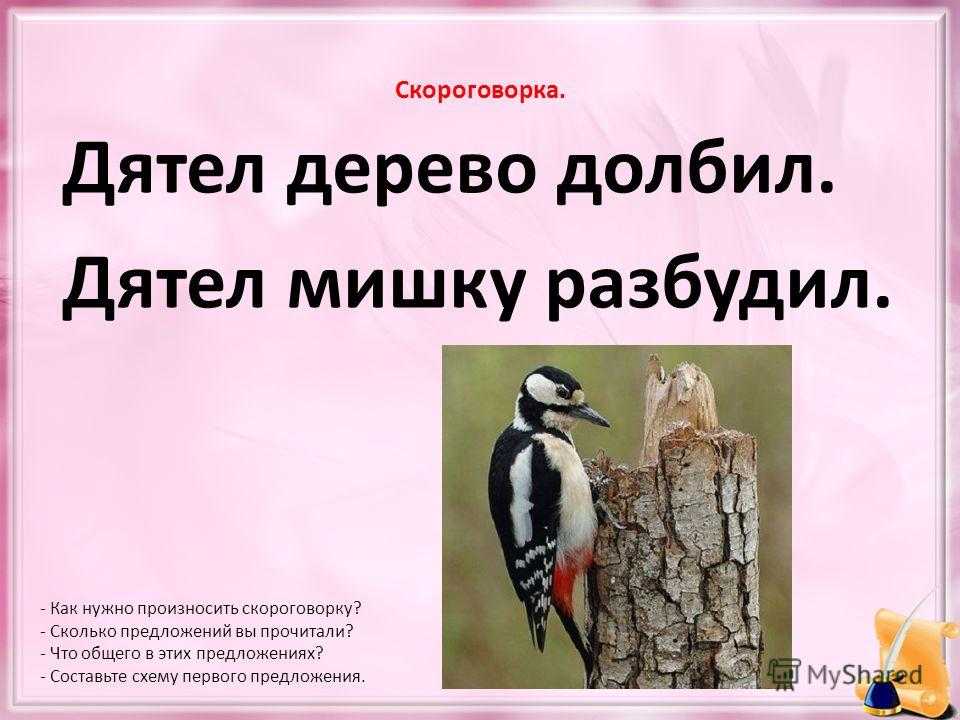 Бывает так, что люди, увидев, как дятел долбит дырки в стволе дерева, думают, что такое дерево безвозвратно испорчено и спиливают его на дрова Но в рассказе М