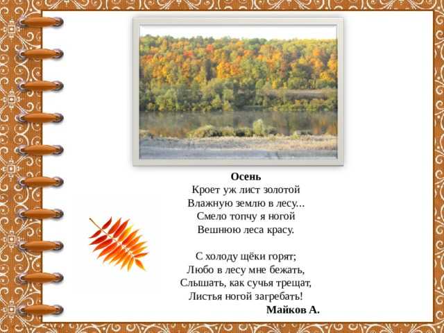 Стихи про новый год и деда мороза. новогодние стихи для детей