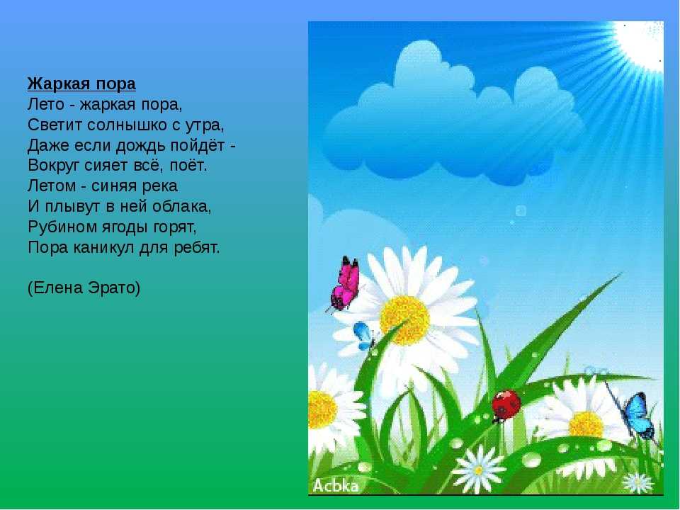 Сочинение как я провел лето (на даче, в деревне у бабушки, план)