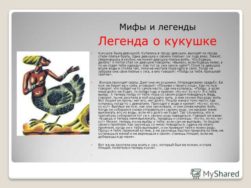 Кукушка мифология. Легенда о птице кукушке. Башкирская Легенда Кукушка. Кукушка в мифологии. Легенда животных о кукушке.