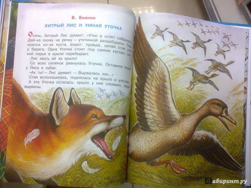Хитрый лис и умная уточка читать онлайн