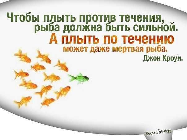 Виды словосочетаний: согласование, управление, примыкание