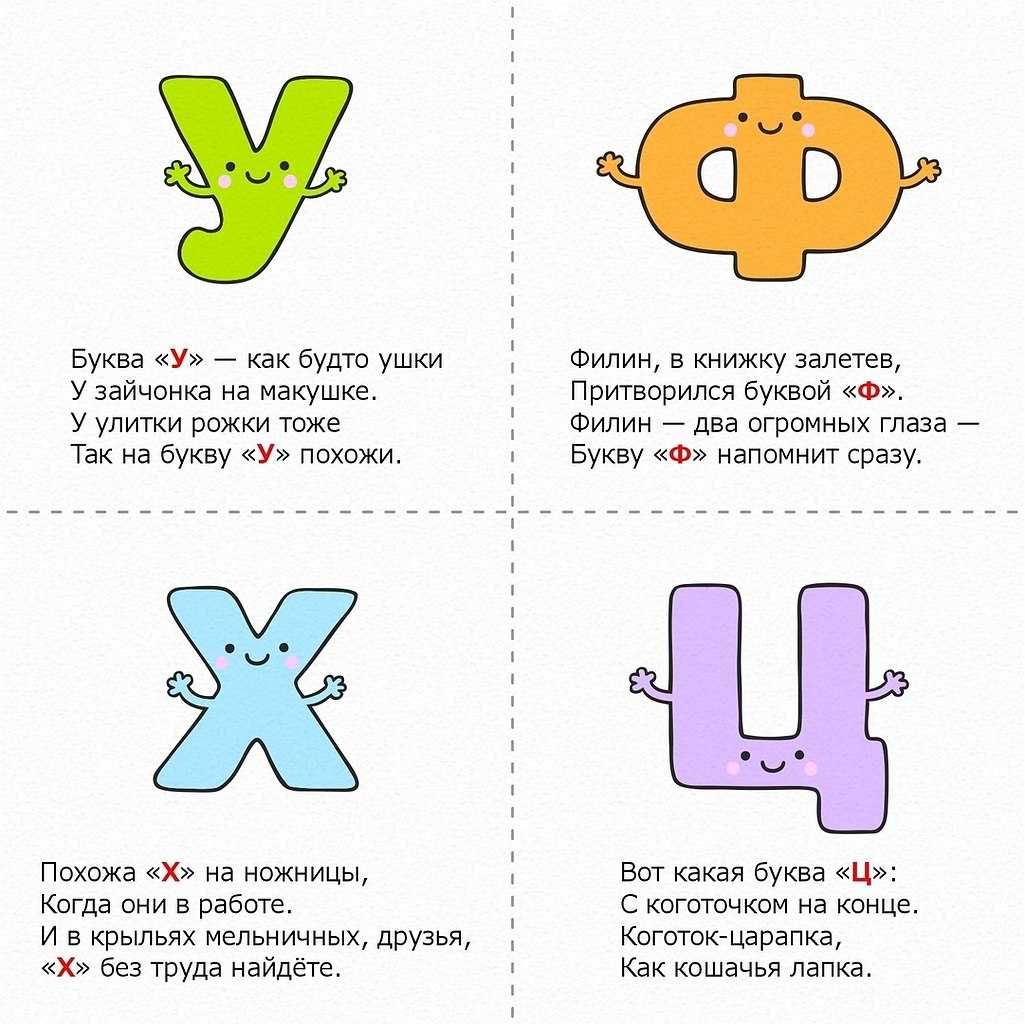 Грибы волнушки - виды, ложные волнушки, полезные свойства, заготовки