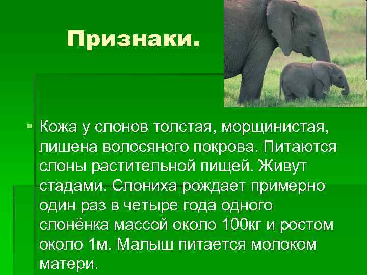 Краткий анализ басни крылова «слон и моська»: мораль, история создания, характеристика героев, жизненные примеры