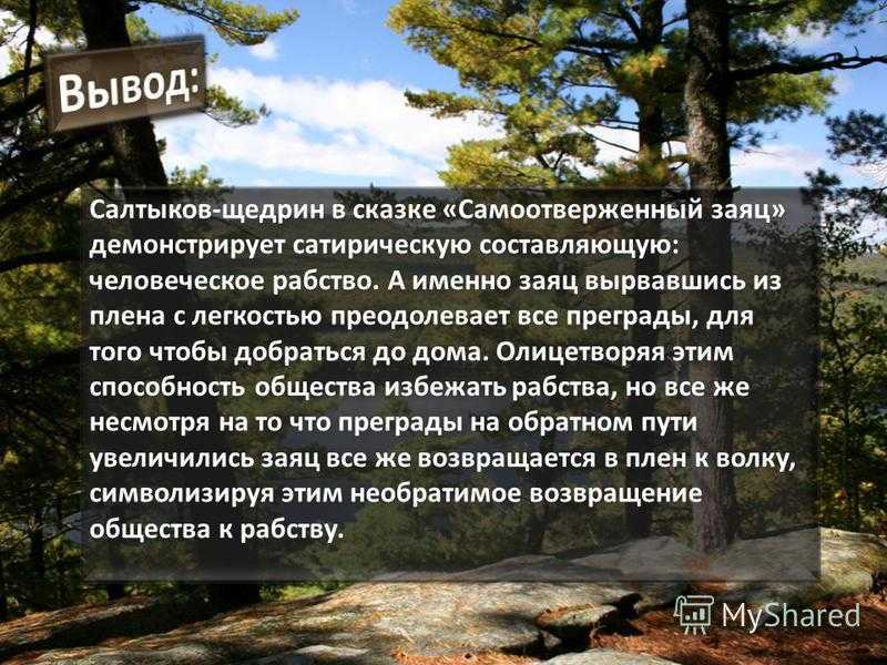 Салтыков-щедрин михаил - пропала совесть