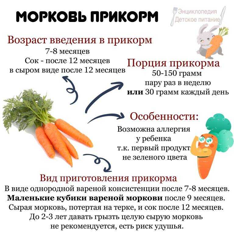 Как приготовить свеклу для первого прикорма ребенка?