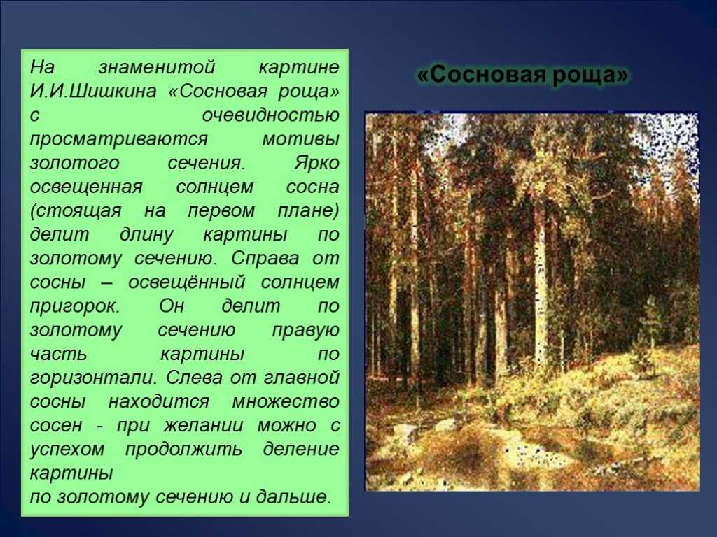 Сочинение по картине шишкина сосны освещенные солнцем 5 класс описание