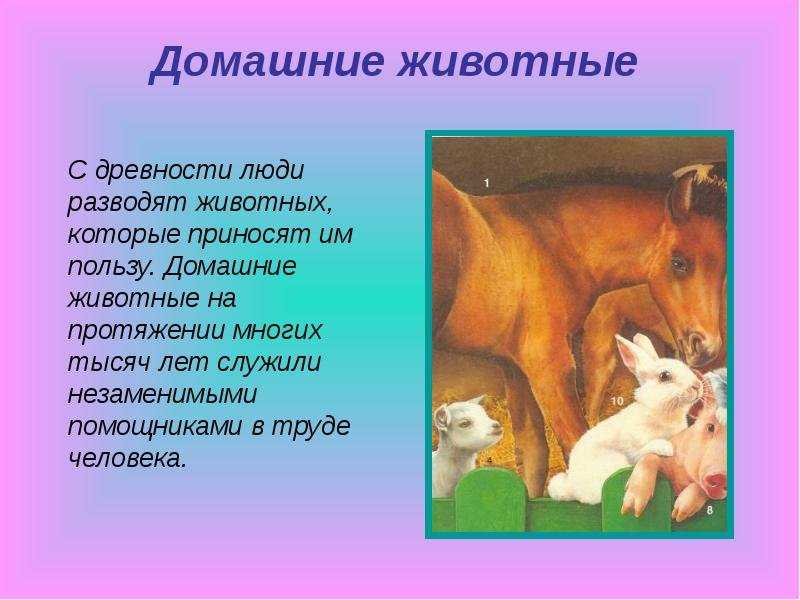 Волшебные короткие сказки для детей: волшебные сказки — читать сказки онлайн