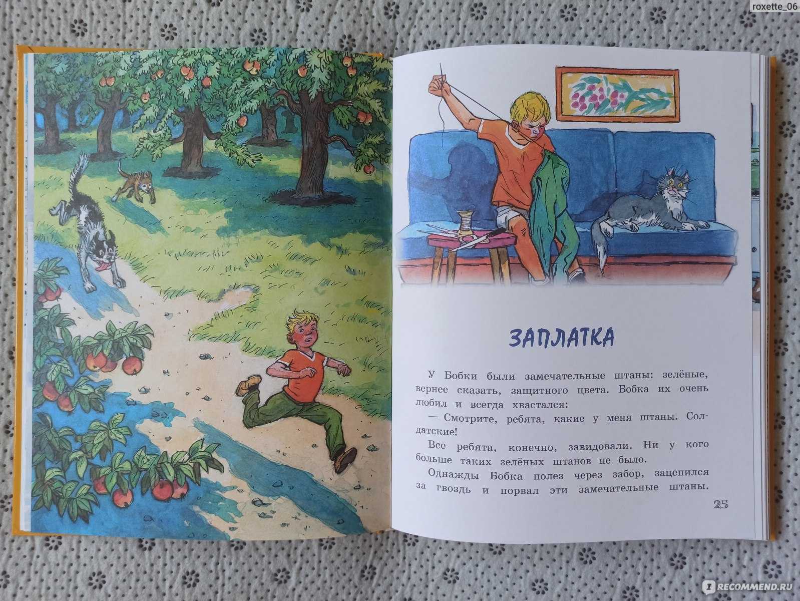 Заплатка — носов н.н.