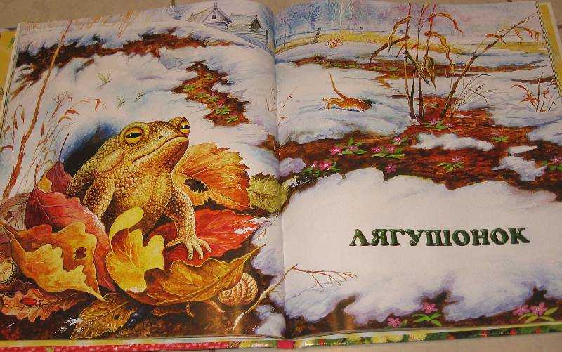 Лягушонок — рассказ михаила пришвина