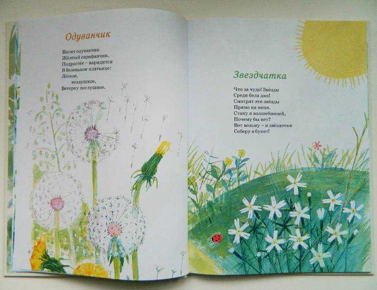Стих про цветы для детей короткие