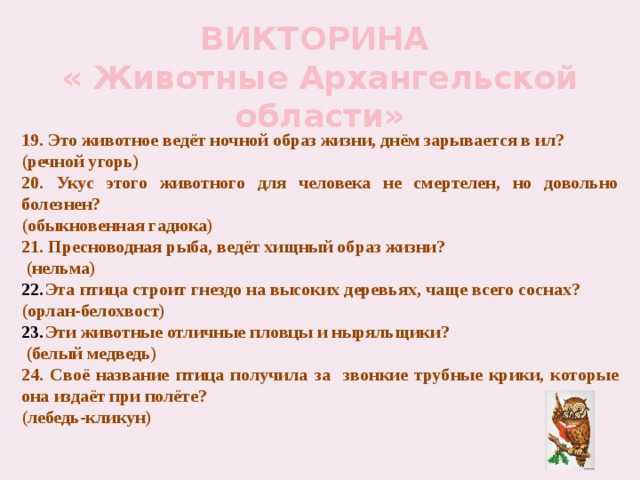 № 4560 викторина в старшей группе «дикие животные и их детёныши». - воспитателю.ру - сайт для педагогов доу