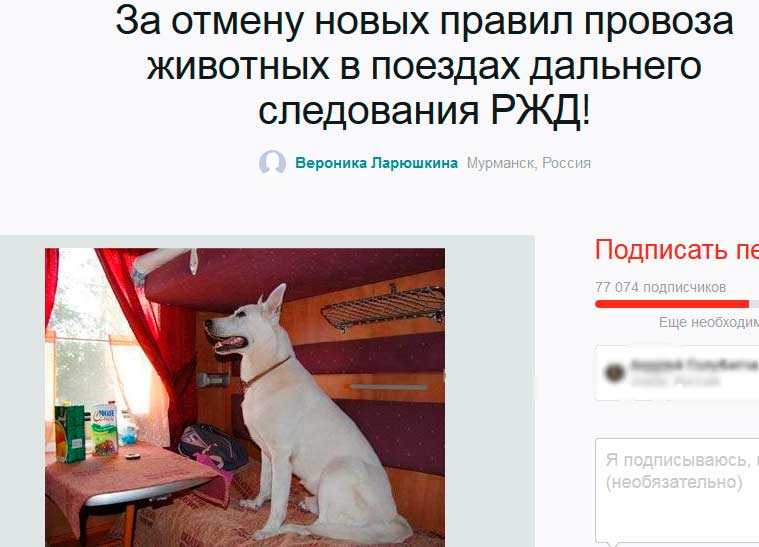 Как перевозить собак в поездах дальнего следования