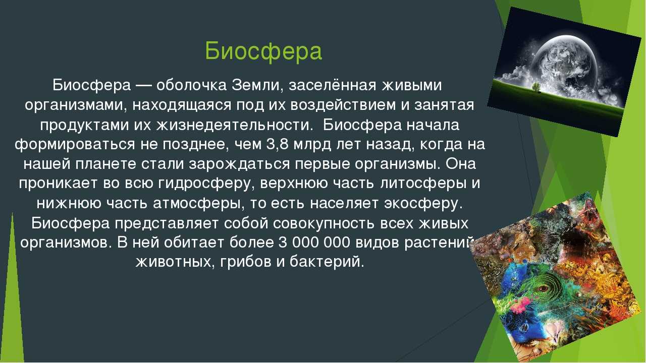 Жизнь существует только на земле