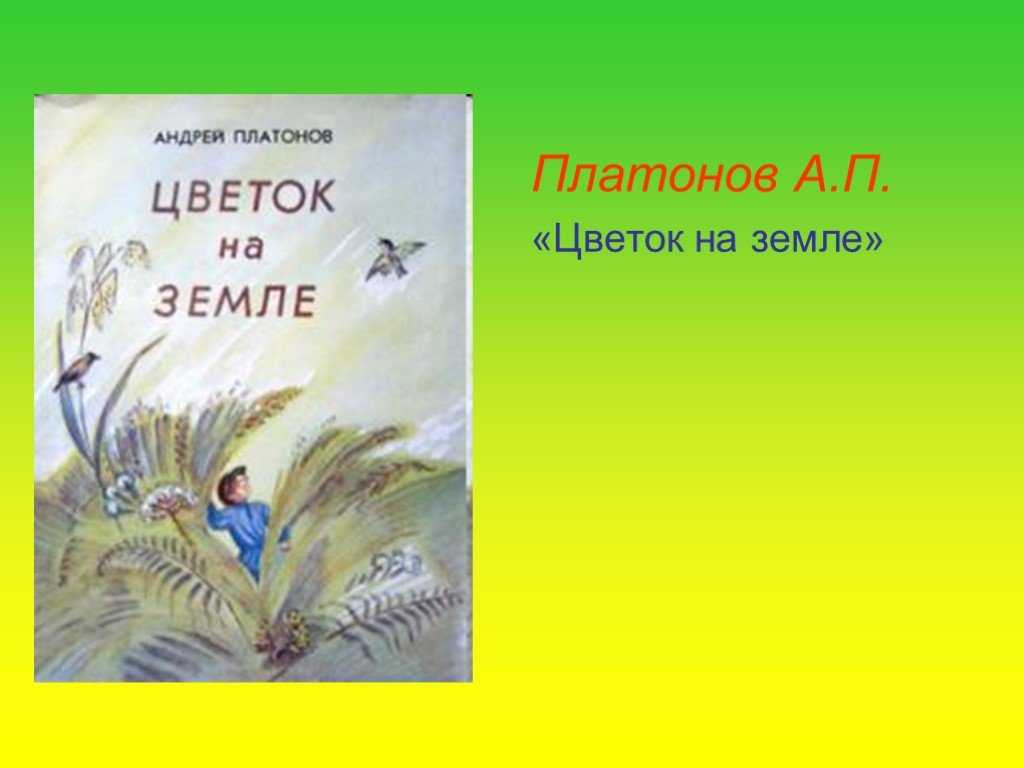 Цветок на земле