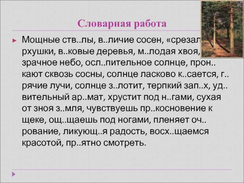 Как нарисовать ель: мастер-класс. как нарисовать сосны поэтапно сосновая ветка рисунок