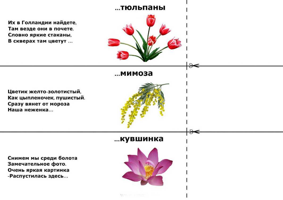 Сижу меж травы, нагнись и сорви. загадки про ягоды для детей