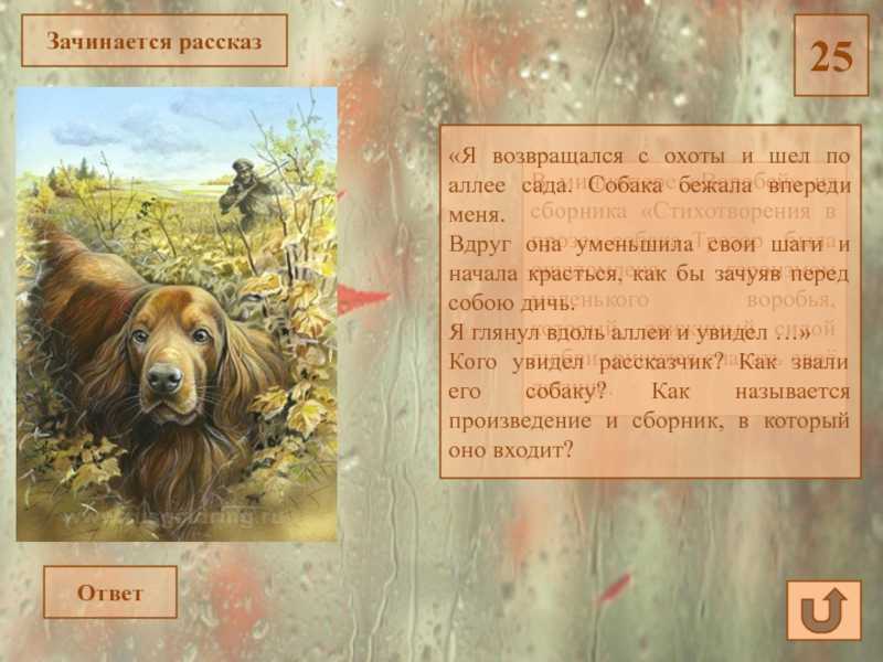 Краткое содержание тургенев собака для читательского дневника