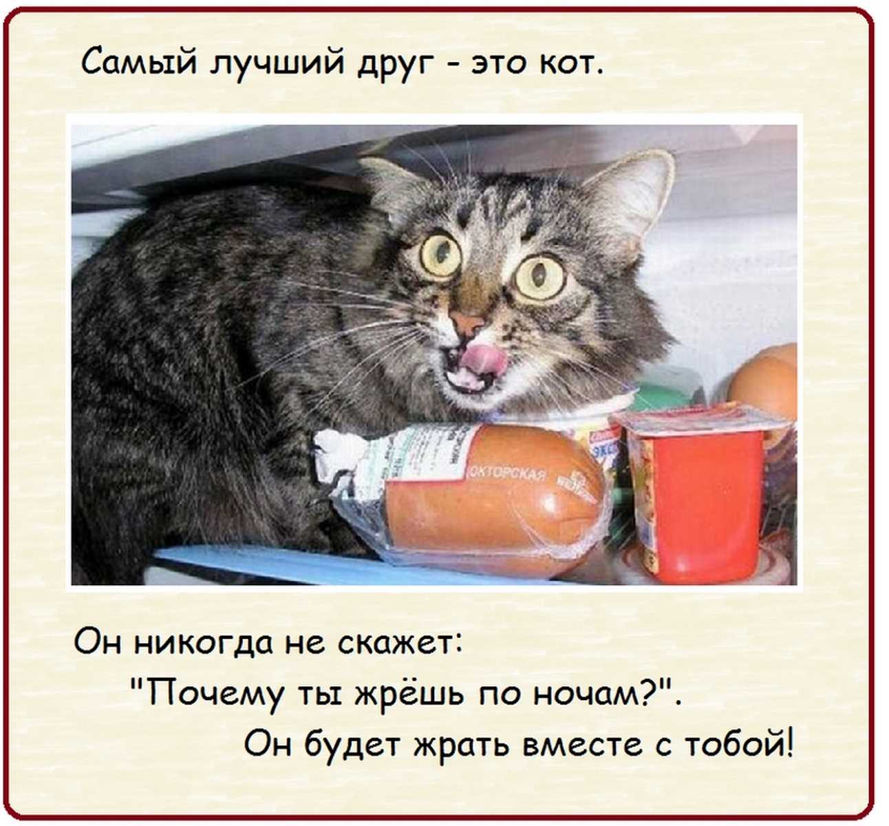 Обидчивость: причины, признаки, способы борьбы