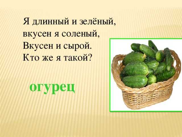 Растут на грядке зелёные ребятки. загадки про огурец для детей