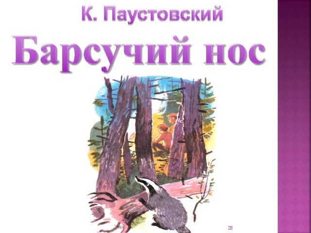 Краткое содержание паустовский барсучий нос за 2 минуты пересказ сюжета