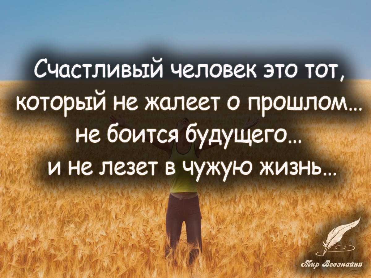 Сова фольклорная пословица поговорка, сова, ребенок, животные png | pngegg