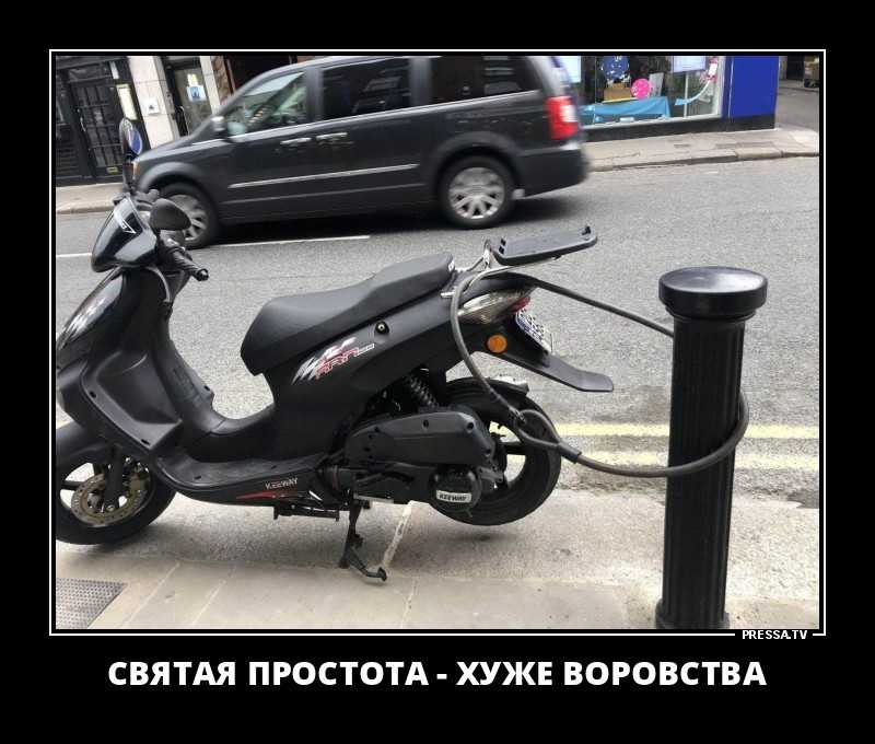 Простота хуже воровства: что означает, смысл пословицы