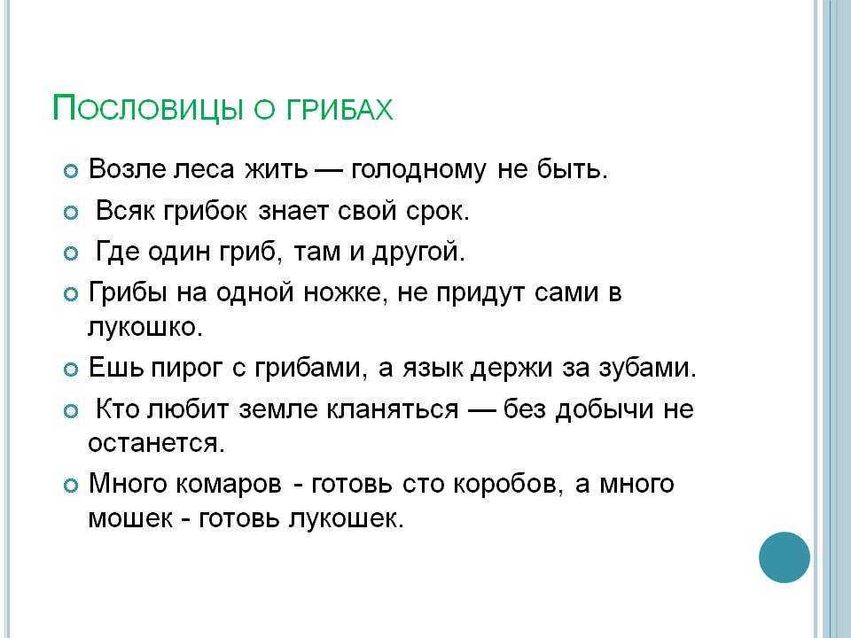 Загадки, пословицы и приметы о грибах