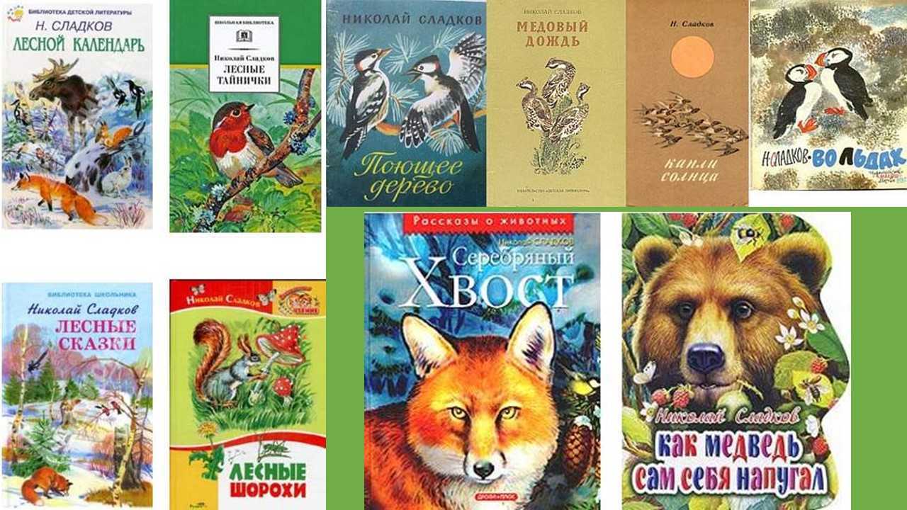 ←глава 01 «осень»дополнительные материалы к теме. школа не за горами. книга #1.