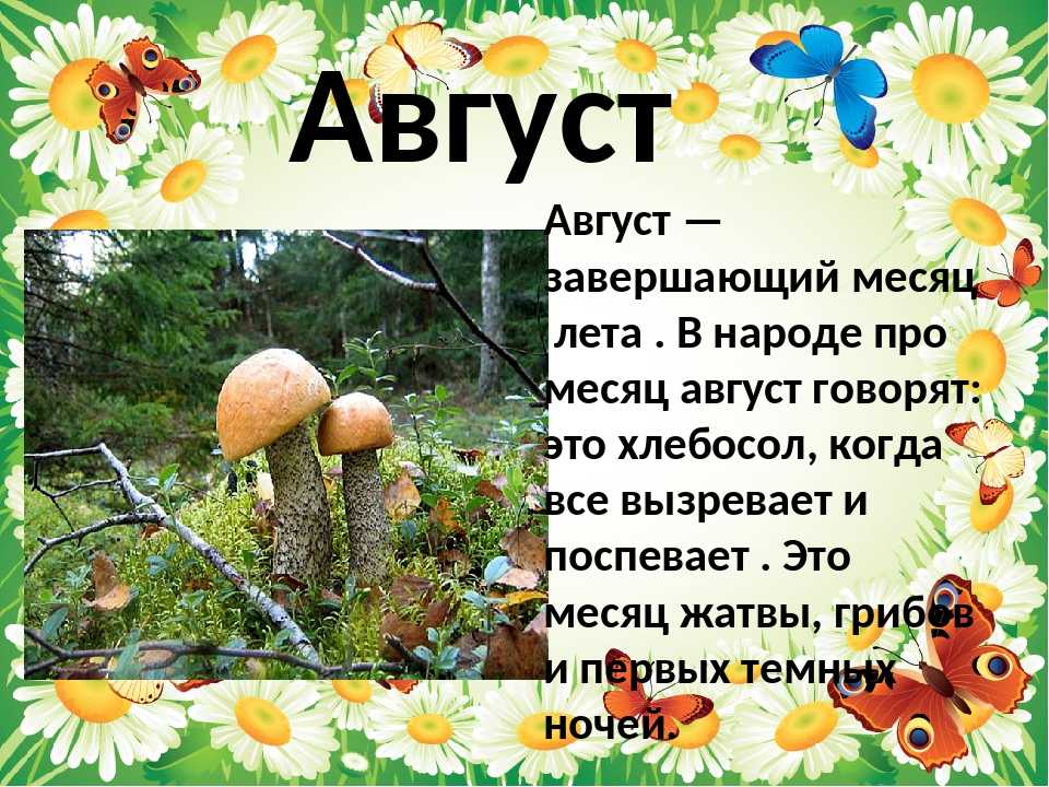 Праздники, приметы, обряды в июле, пословицы и поговорки, красивые картинки про июль