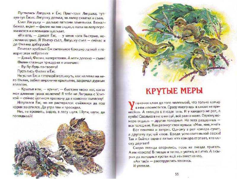 Лесные тайнички николая сладкова