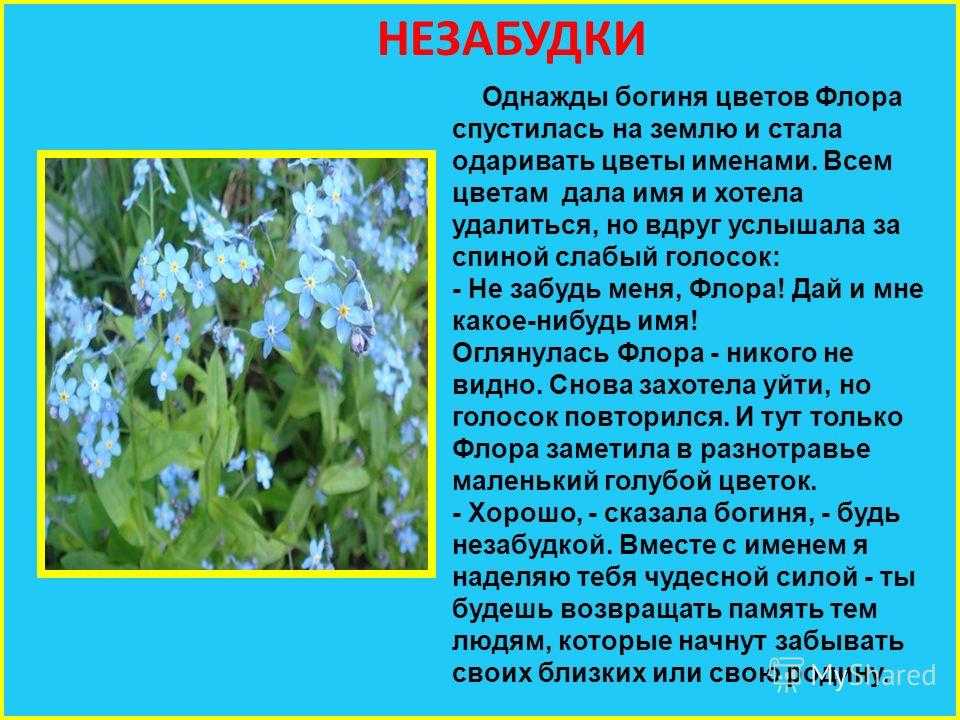Мини-сочинение «весна»