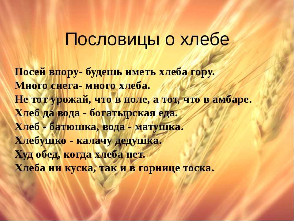 Пословицы на день урожая.  пословицы и поговорки про урожай