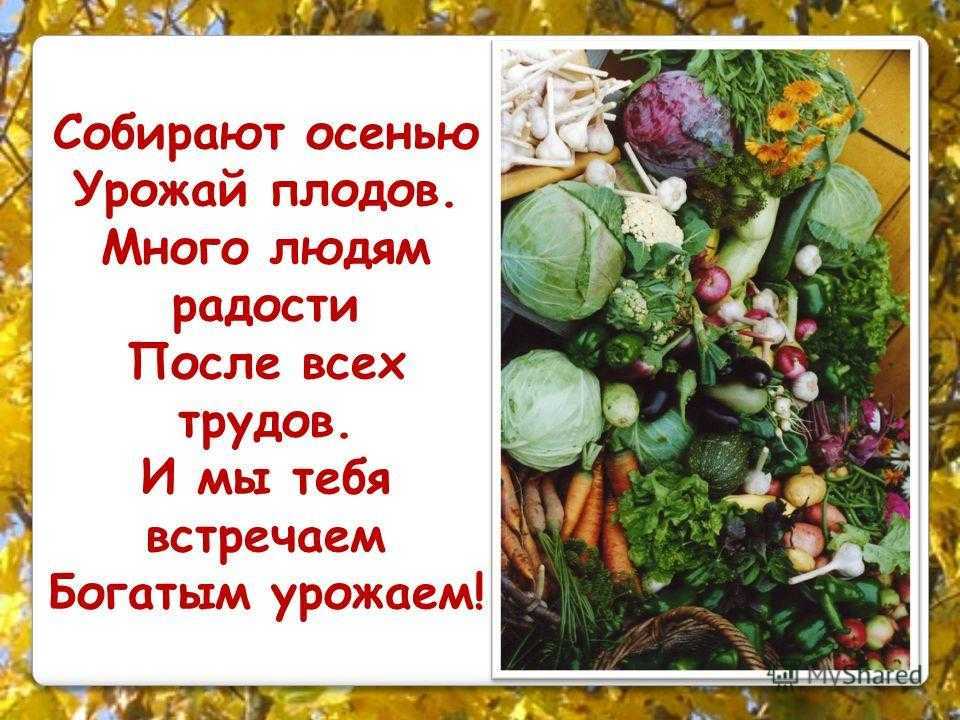 Сказка о помидоре