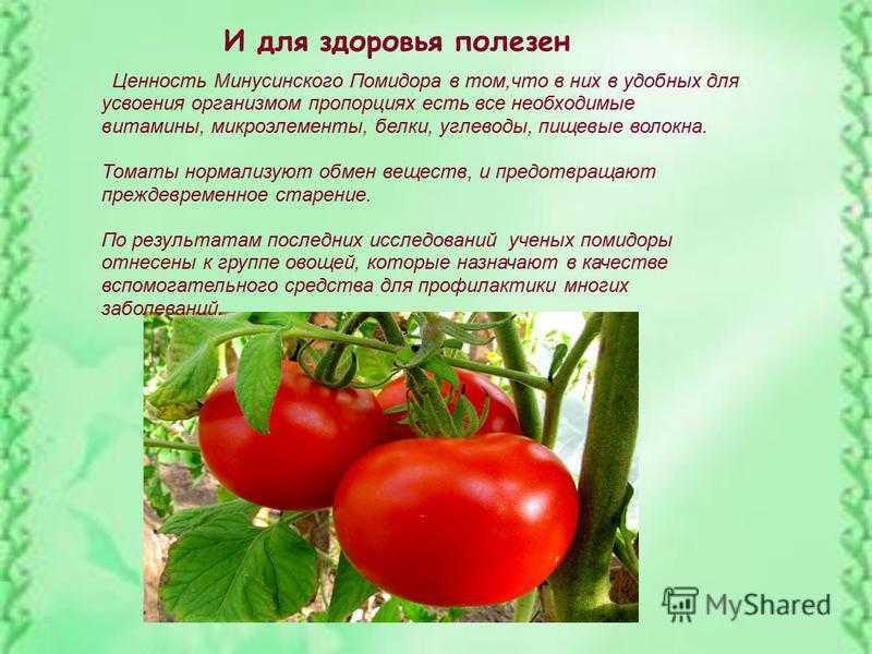 Про спор овощей в огороде — детские овощные стихи «огородная сказка»