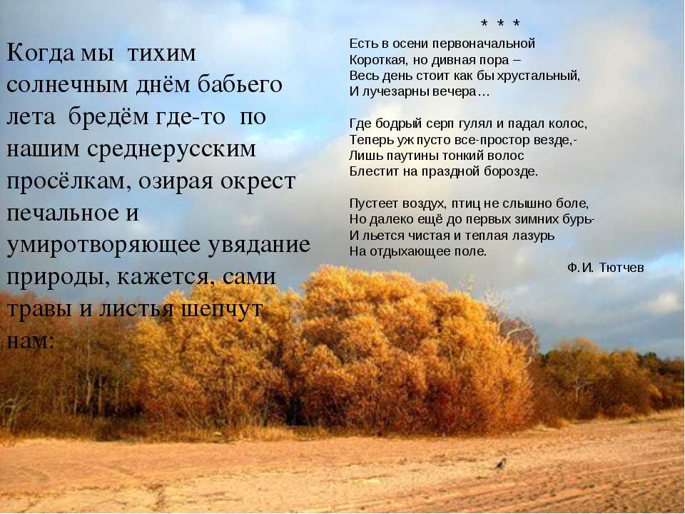 Тема осени у блока