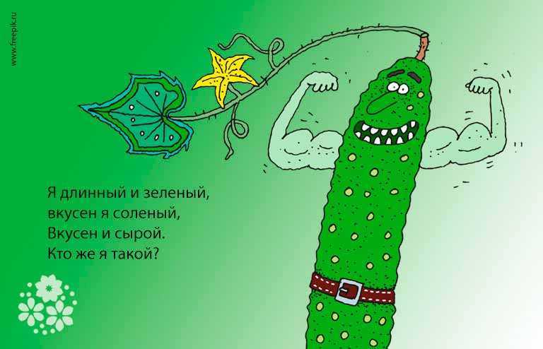 Фразеологизм к слову огурец. значение слова «огурец. смотреть что такое "как огурчик" в других словарях