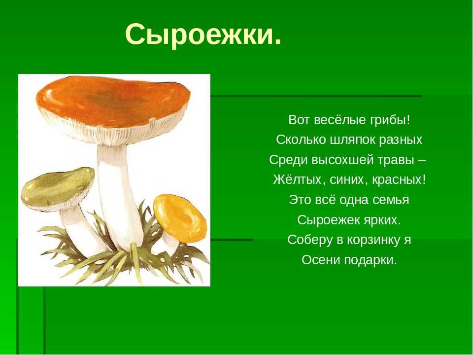 Доклад на тему грибы опята (описание, виды, где растут) сообщение