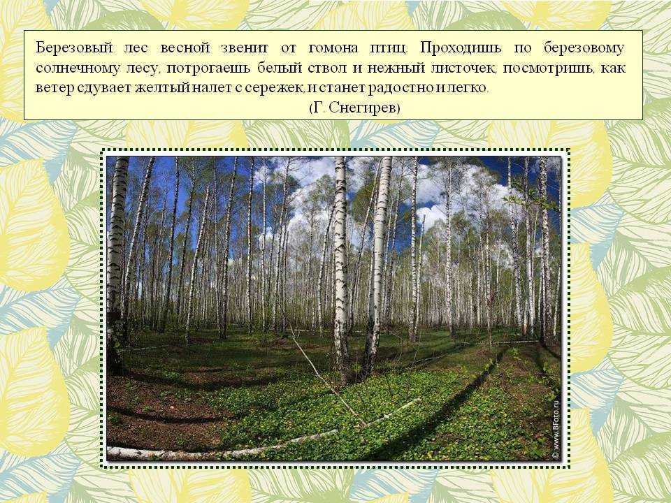 Викторина на 8 марта для девочек и женщин с ответами