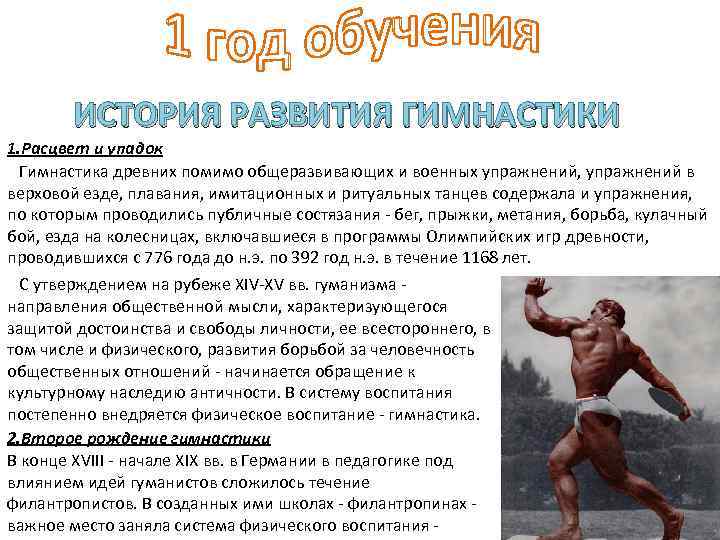 Всё о гимнастике