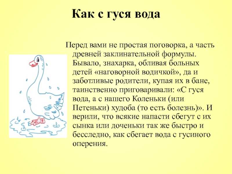 «как с гуся вода» - значение и происхождение фразеологизма