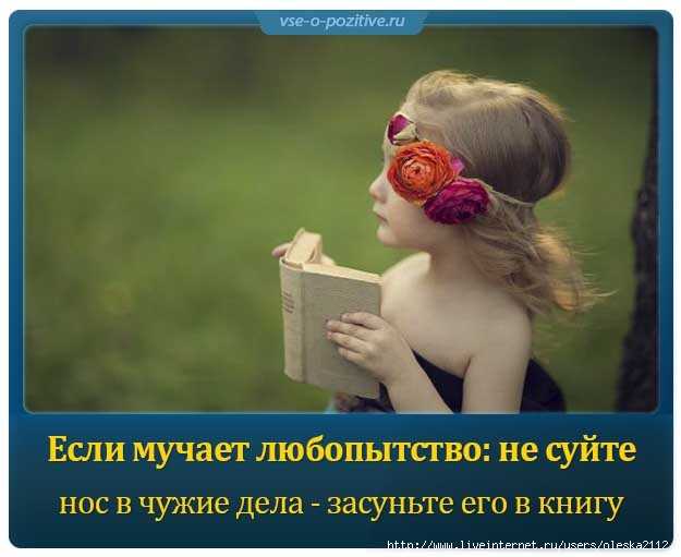 10 поговорок, означающих противоположное тому, о чём вы думаете